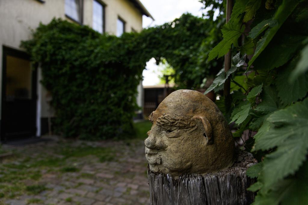 Pension Altstadt Borna Bagian luar foto