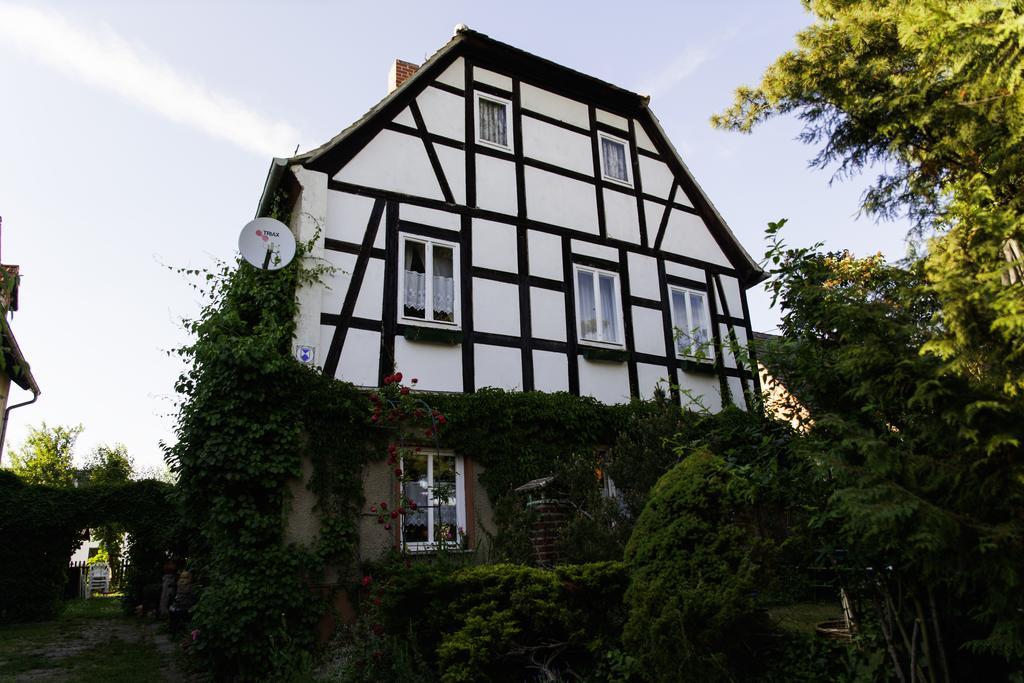 Pension Altstadt Borna Bagian luar foto