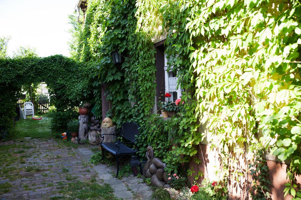 Pension Altstadt Borna Bagian luar foto