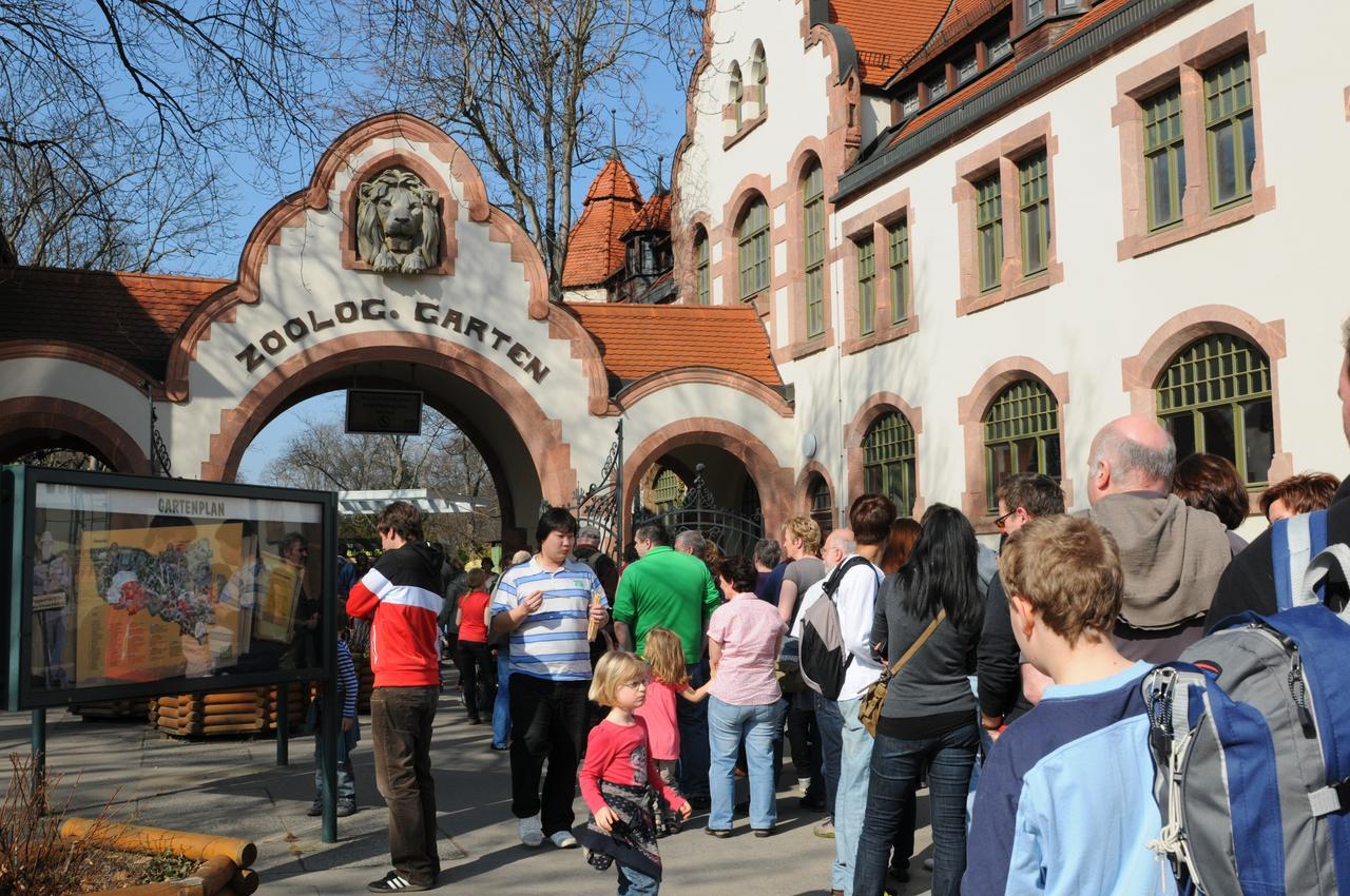 Pension Altstadt Borna Bagian luar foto