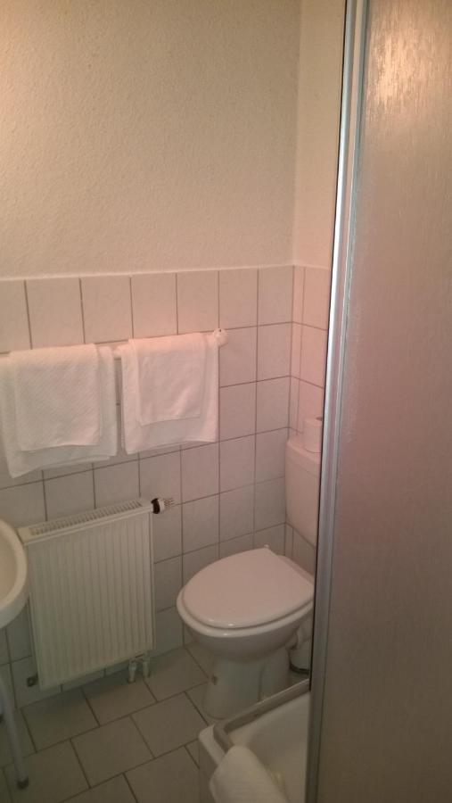 Pension Altstadt Borna Bagian luar foto
